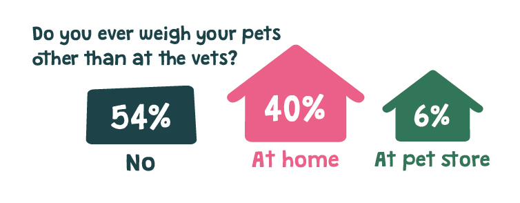 do you every weigh your pet somewhere other than at the vets survey results